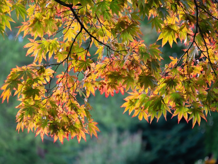 The emotional endurance of Endometriosis, the hidden&nbsp;disease