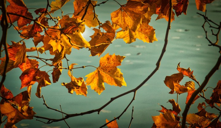 What is Endometriosis aka&nbsp;Endo?